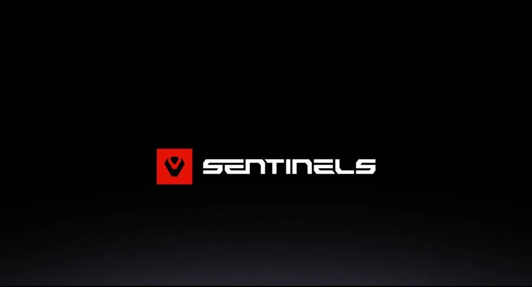 Sentinels Hire David McGowan as its New Performance Coach