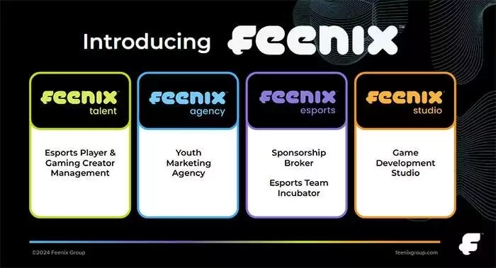 Feenix Group divisions explained
